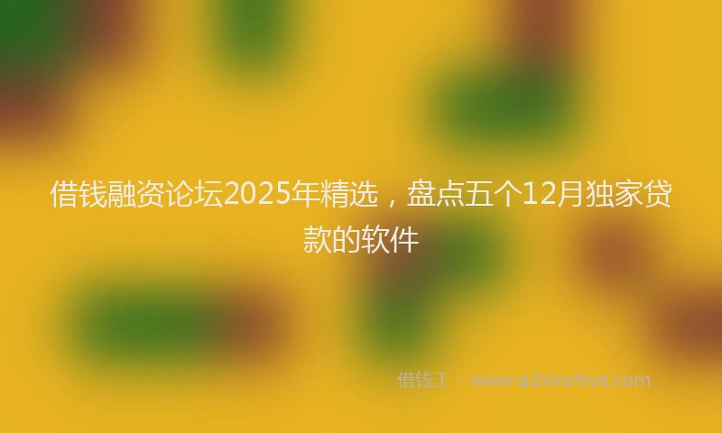 借钱融资论坛2025年精选，盘点五个12月独家贷款的软件