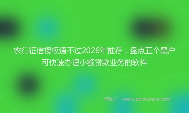 农行征信授权通不过2026年推荐，盘点五个黑户可快速办理小额贷款业务的软件
