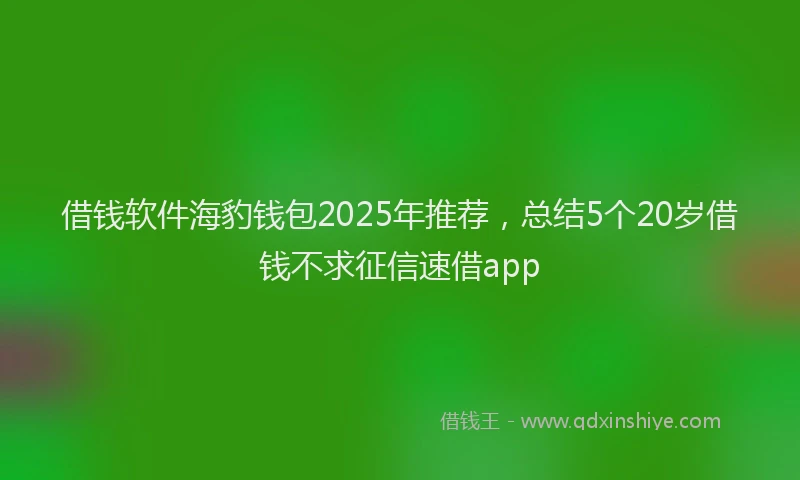 借钱软件海豹钱包2025年推荐,总结5个20岁借钱不求征信速借app