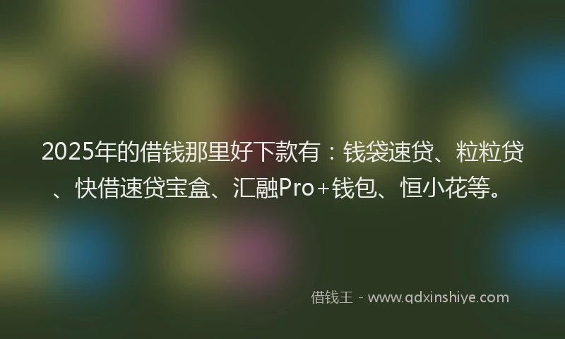 2025年的借钱那里好下款有：钱袋速贷、粒粒贷、快借速贷宝盒、汇融Pro+钱包、恒小花等。