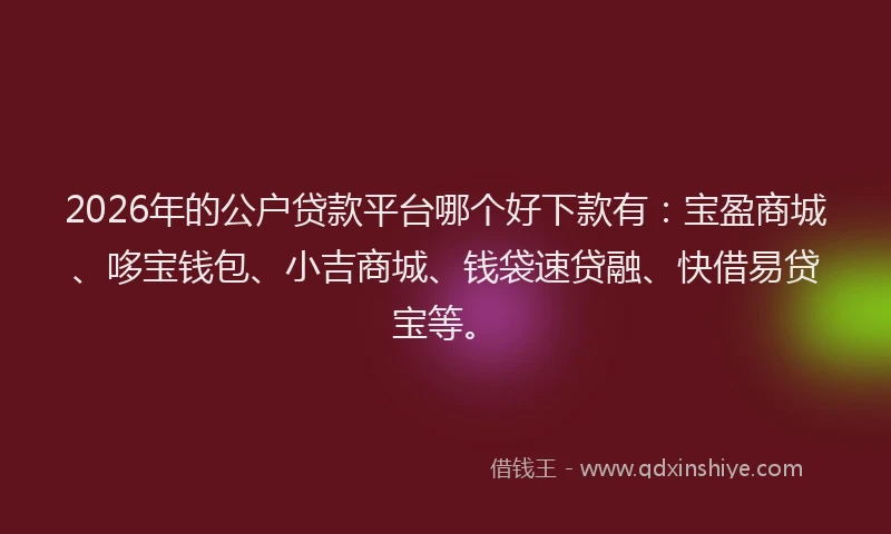 2026年的公户贷款平台哪个好下款有：宝盈商城、哆宝钱包、小吉商城、钱袋速贷融、快借易贷宝等。