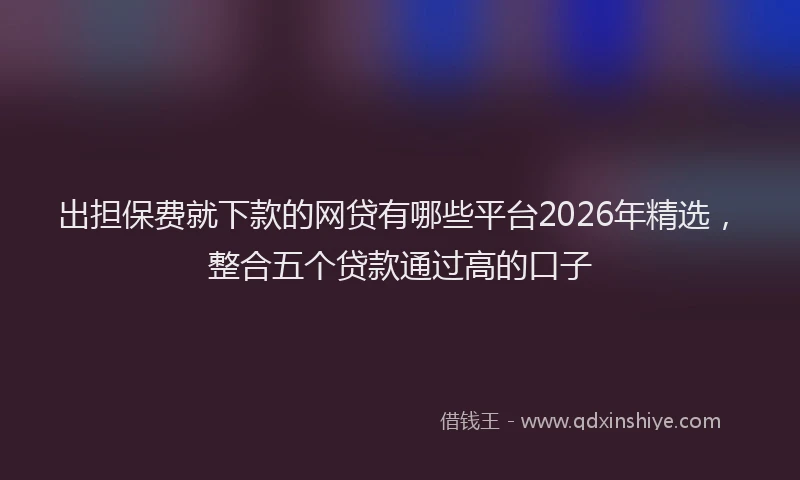 出担保费就下款的网贷有哪些平台2026年精选，整合五个贷款通过高的口子