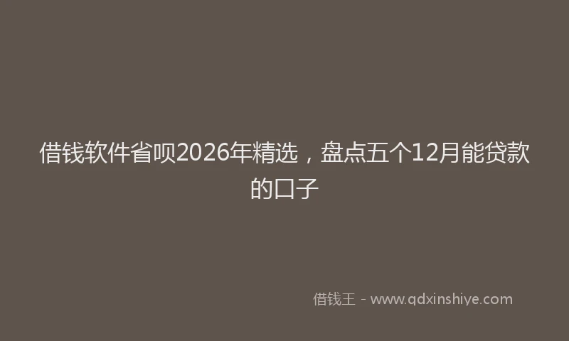 借钱软件省呗2026年精选,盘点五个12月能贷款的口子