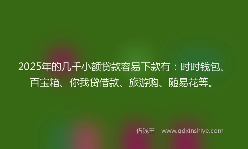 2025年的几千小额贷款容易下款有：时时钱包、百宝箱、你我贷借款、旅游购、随易花等。