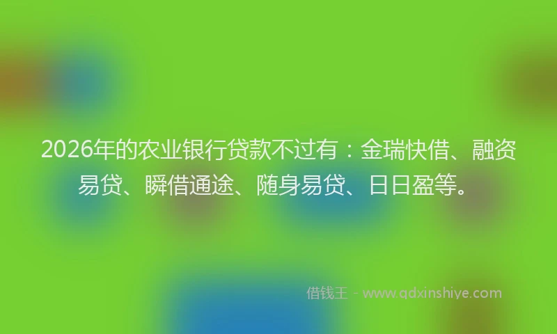 2026年的农业银行贷款不过有：金瑞快借、融资易贷、瞬借通途、随身易贷、日日盈等。