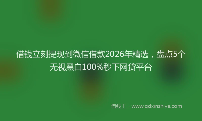 借钱立刻提现到微信借款2026年精选，盘点5个无视黑白100%秒下网贷平台
