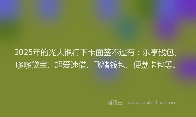 2025年的光大银行下卡面签不过有：乐享钱包、哆哆贷宝、超爱速借、飞猪钱包、便荔卡包等。