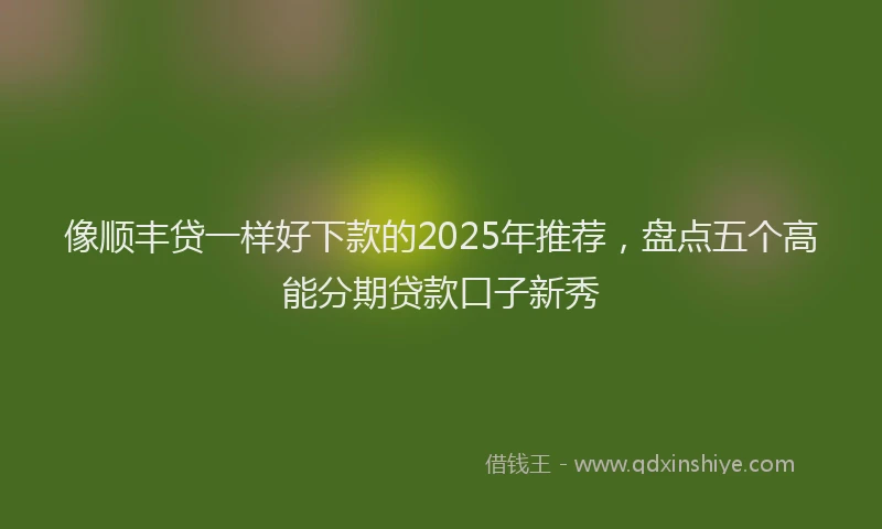 像顺丰贷一样好下款的2025年推荐，盘点五个高能分期贷款口子新秀