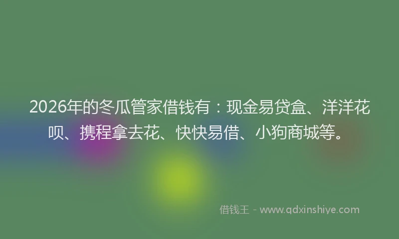 2026年的冬瓜管家借钱有：现金易贷盒、洋洋花呗、携程拿去花、快快易借、小狗商城等。