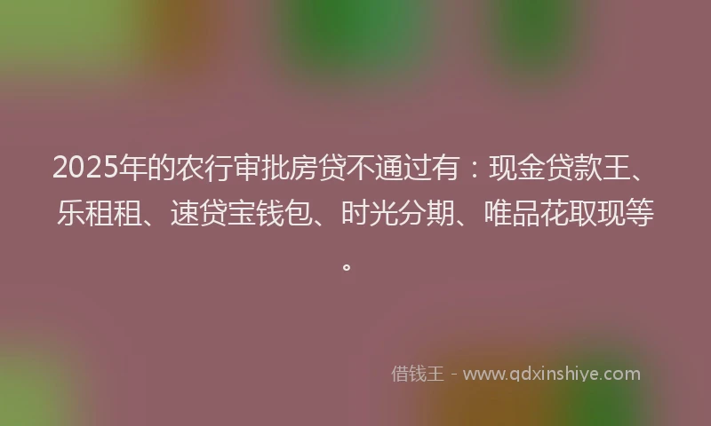 2025年的农行审批房贷不通过有：现金贷款王、乐租租、速贷宝钱包、时光分期、唯品花取现等。