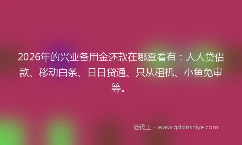 2026年的兴业备用金还款在哪查看有：人人贷借款、移动白条、日日贷通、只从租机、小鱼免审等。