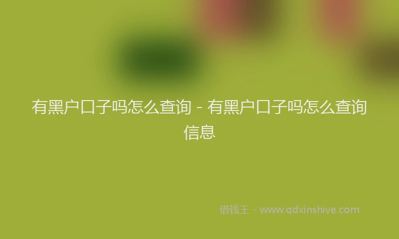 有黑户口子吗怎么查询 - 有黑户口子吗怎么查询信息