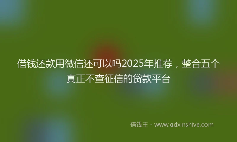 借钱还款用微信还可以吗2025年推荐，整合五个真正不查征信的贷款平台