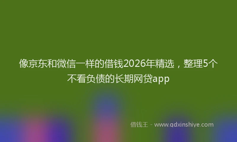 像京东和微信一样的借钱2026年精选，整理5个不看负债的长期网贷app