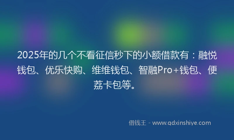2025年的几个不看征信秒下的小额借款有：融悦钱包、优乐快购、维维钱包、智融Pro+钱包、便荔卡包等。