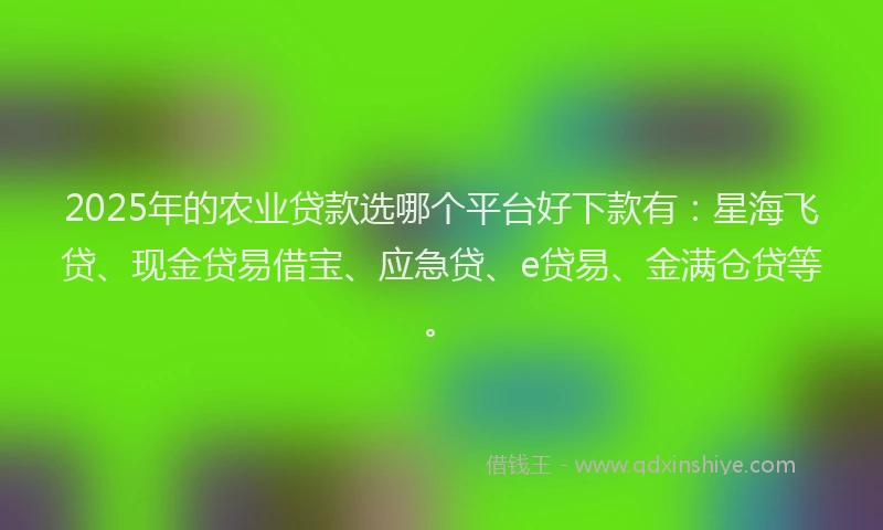 2025年的农业贷款选哪个平台好下款有:星海飞贷、现金贷易借宝、应急贷、e贷易、金满仓贷等。