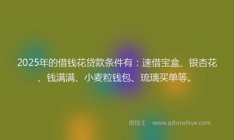 2025年的借钱花贷款条件有：速借宝盒、银杏花、钱满满、小麦粒钱包、琉璃买单等。