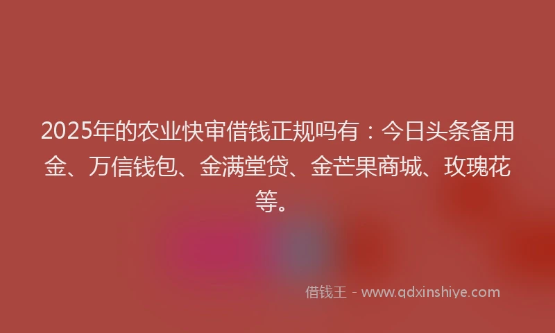 2025年的农业快审借钱正规吗有:今日头条备用金、万信钱包、金满堂贷、金芒果商城、玫瑰花等。