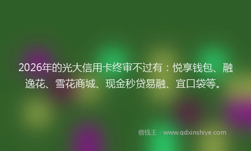 2026年的光大信用卡终审不过有:悦享钱包、融逸花、雪花商城、现金秒贷易融、宜口袋等。