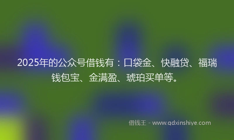 2025年的公众号借钱有：口袋金、快融贷、福瑞钱包宝、金满盈、琥珀买单等。