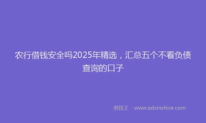 农行借钱安全吗2025年精选，汇总五个不看负债查询的口子