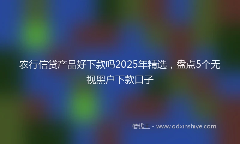 农行信贷产品好下款吗2025年精选，盘点5个无视黑户下款口子