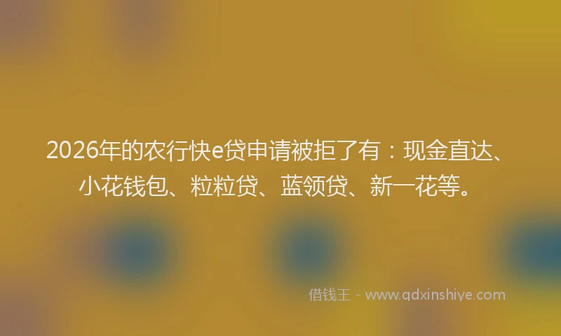 2026年的农行快e贷申请被拒了有：现金直达、小花钱包、粒粒贷、蓝领贷、新一花等。