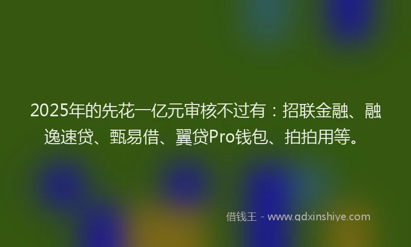 2025年的先花一亿元审核不过有：招联金融、融逸速贷、甄易借、翼贷Pro钱包、拍拍用等。