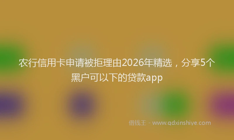 农行信用卡申请被拒理由2026年精选，分享5个黑户可以下的贷款app