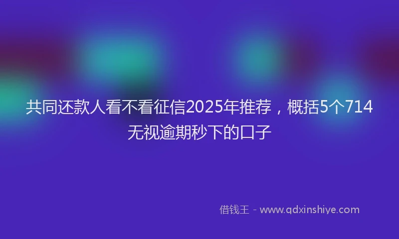 共同还款人看不看征信2025年推荐，概括5个714无视逾期秒下的口子
