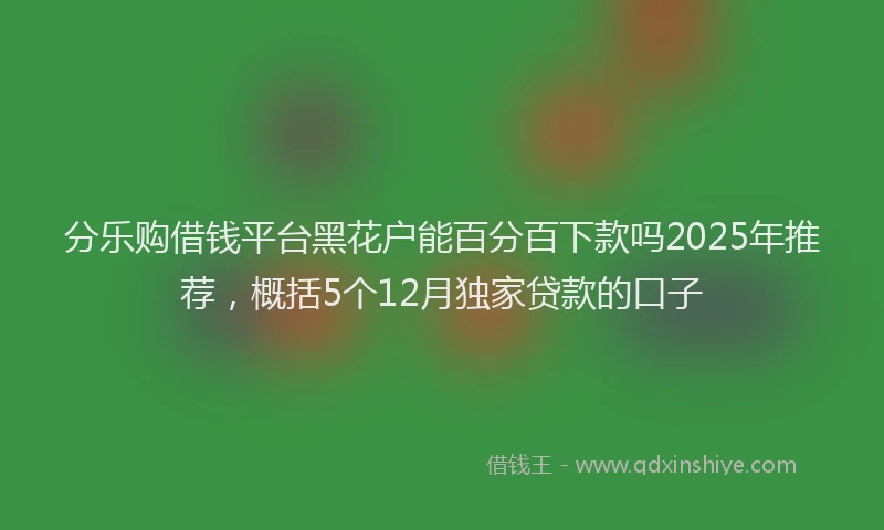分乐购借钱平台黑花户能百分百下款吗2025年推荐，概括5个12月独家贷款的口子