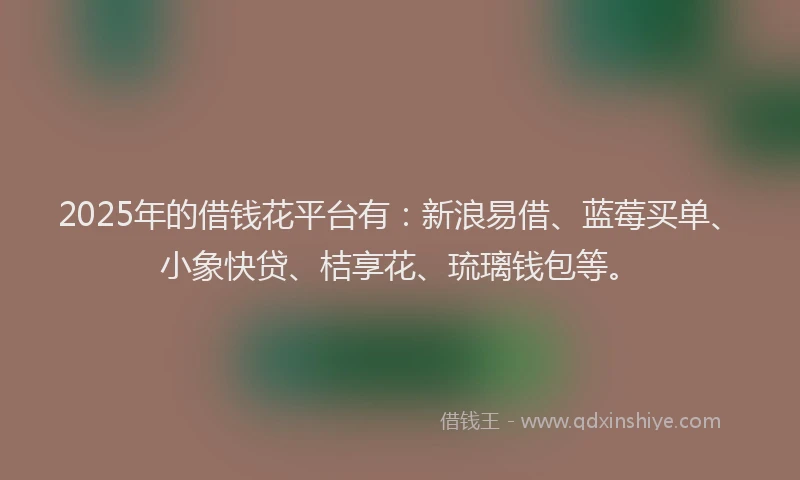 2025年的借钱花平台有：新浪易借、蓝莓买单、小象快贷、桔享花、琉璃钱包等。