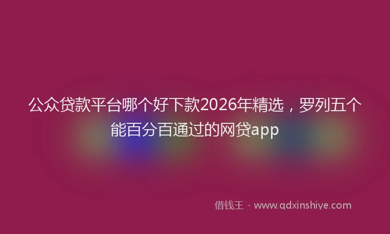 公众贷款平台哪个好下款2026年精选，罗列五个能百分百通过的网贷app