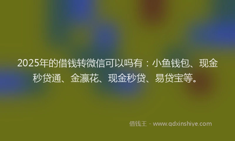 2025年的借钱转微信可以吗有：小鱼钱包、现金秒贷通、金瀛花、现金秒贷、易贷宝等。