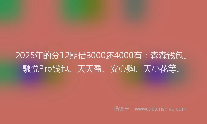 2025年的分12期借3000还4000有:森森钱包、融悦Pro钱包、天天盈、安心购、天小花等。