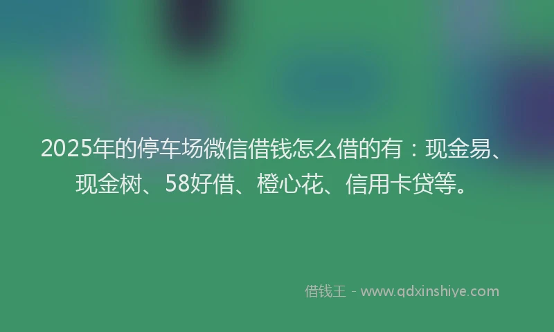 2025年的停车场微信借钱怎么借的有：现金易、现金树、58好借、橙心花、信用卡贷等。