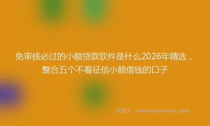 免审核必过的小额贷款软件是什么2026年精选，整合五个不看征信小额借钱的口子