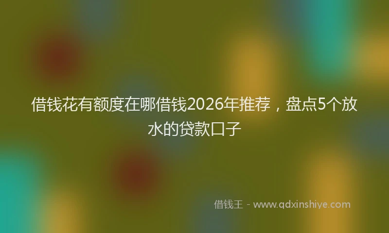 借钱花有额度在哪借钱2026年推荐，盘点5个放水的贷款口子