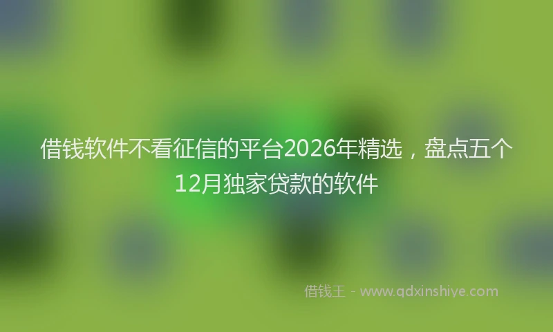 借钱软件不看征信的平台2026年精选，盘点五个12月独家贷款的软件