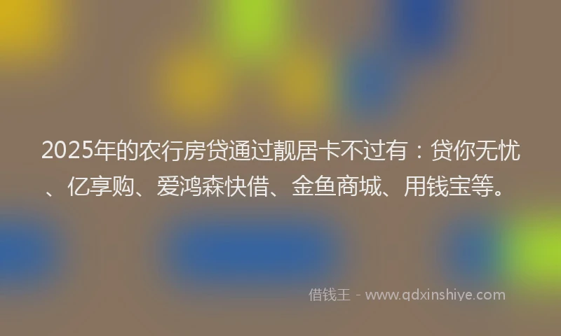 2025年的农行房贷通过靓居卡不过有：贷你无忧、亿享购、爱鸿森快借、金鱼商城、用钱宝等。