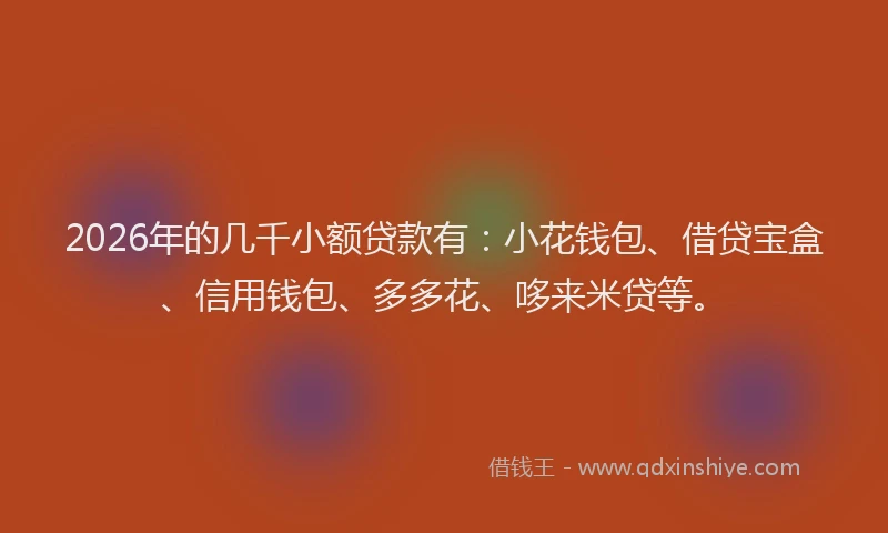 2026年的几千小额贷款有：小花钱包、借贷宝盒、信用钱包、多多花、哆来米贷等。