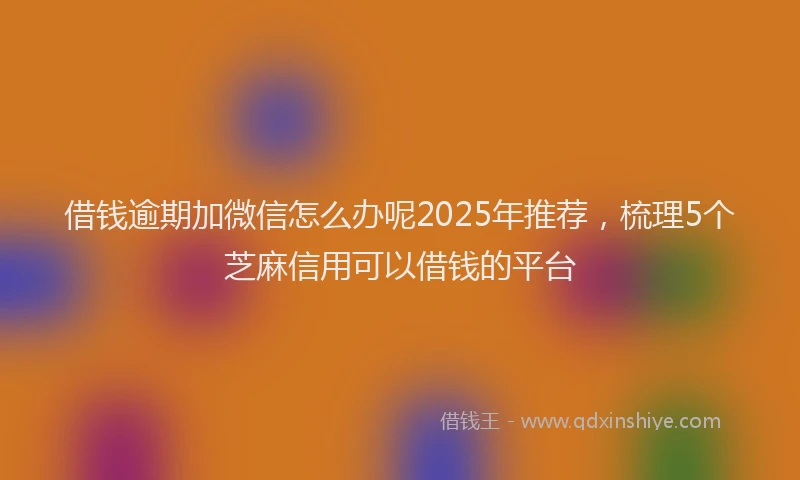 借钱逾期加微信怎么办呢2025年推荐，梳理5个芝麻信用可以借钱的平台