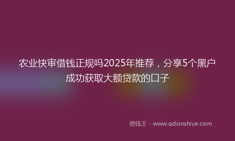 农业快审借钱正规吗2025年推荐，分享5个黑户成功获取大额贷款的口子