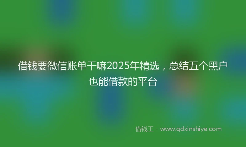 借钱要微信账单干嘛2025年精选，总结五个黑户也能借款的平台