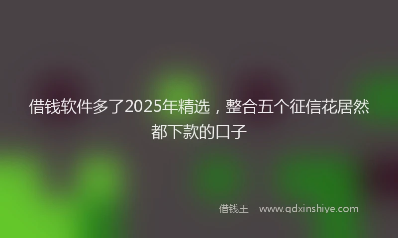 借钱软件多了2025年精选,整合五个征信花居然都下款的口子