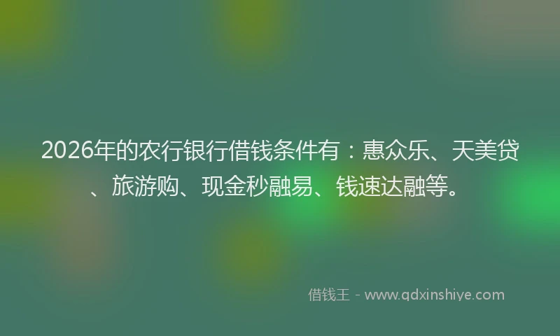 2026年的农行银行借钱条件有：惠众乐、天美贷、旅游购、现金秒融易、钱速达融等。