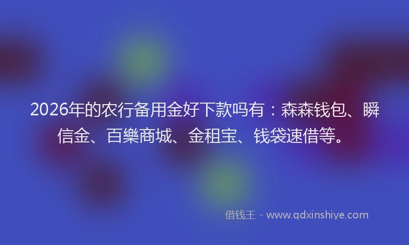 2026年的农行备用金好下款吗有：森森钱包、瞬信金、百樂商城、金租宝、钱袋速借等。