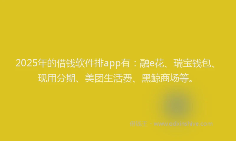 2025年的借钱软件排app有：融e花、瑞宝钱包、现用分期、美团生活费、黑鲸商场等。