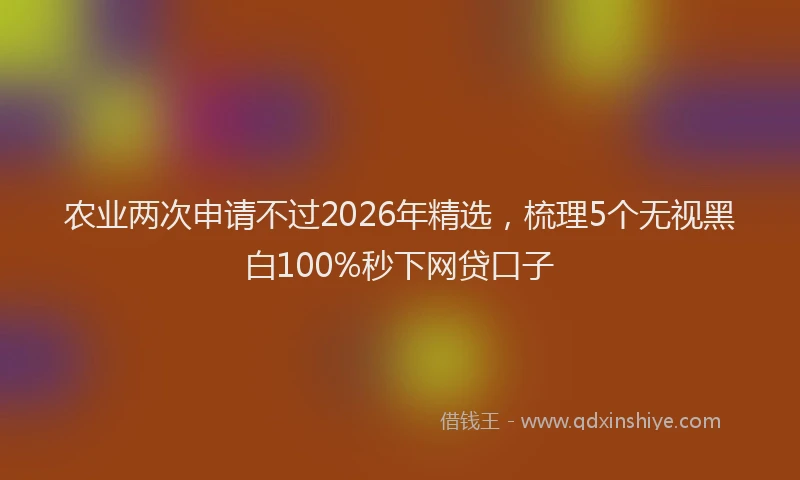 农业两次申请不过2026年精选，梳理5个无视黑白100%秒下网贷口子