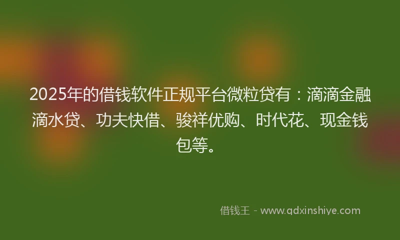 2025年的借钱软件正规平台微粒贷有:滴滴金融滴水贷、功夫快借、骏祥优购、时代花、现金钱包等。
